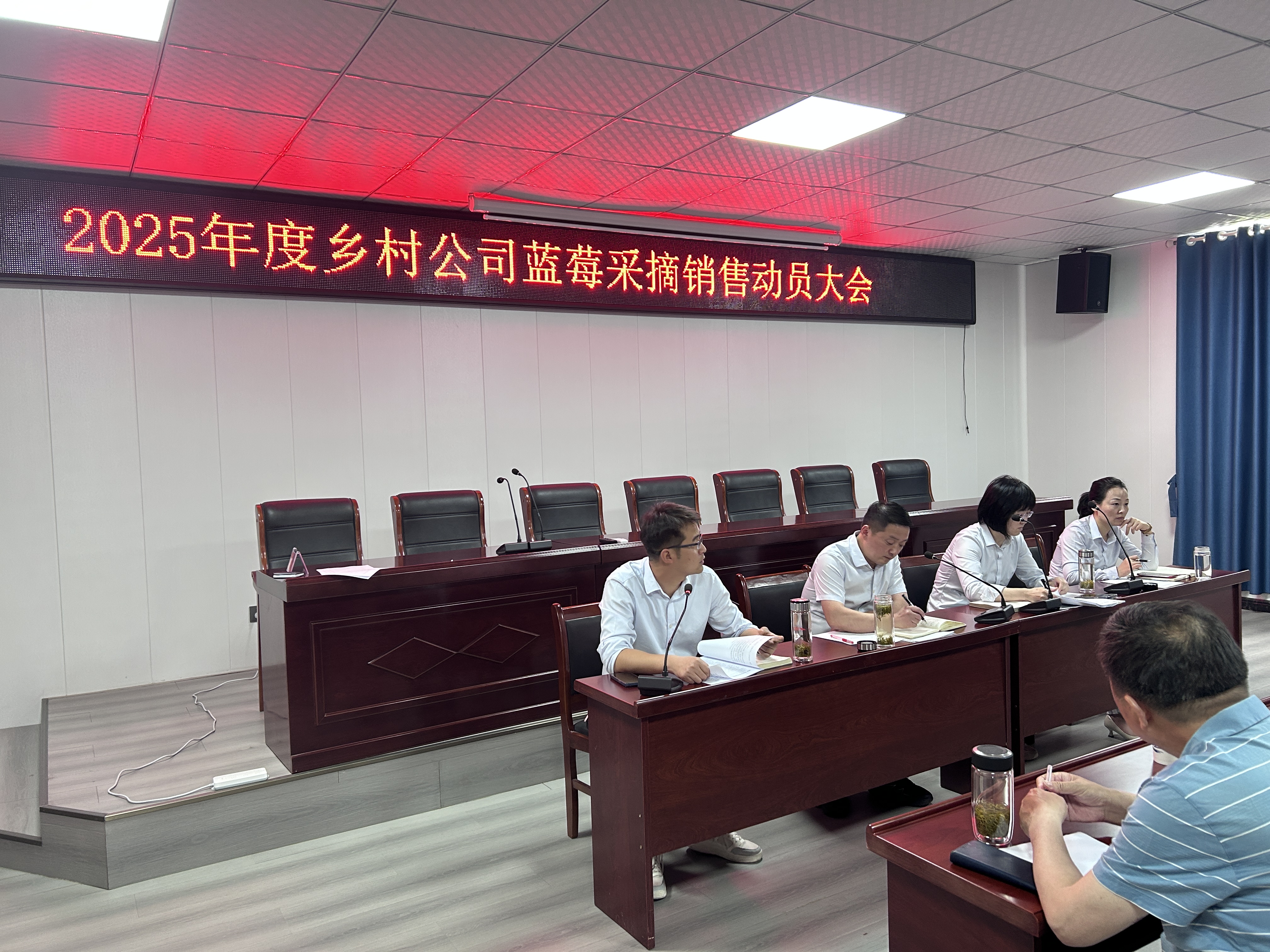 县乡村公司召开2025年度蓝莓采摘销售动员大会