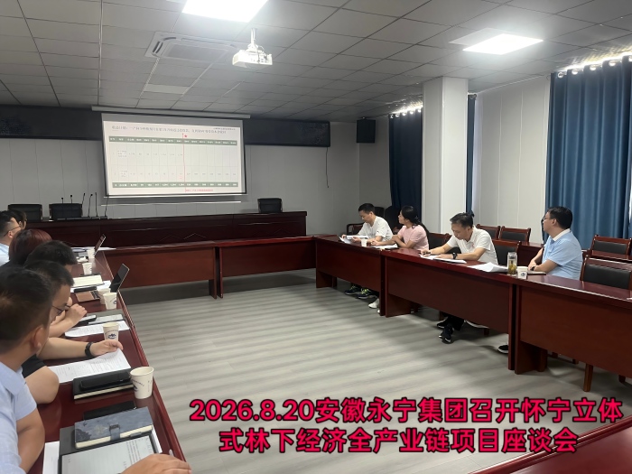 聚焦立体林下经济——安徽永宁集团联合多方开展怀宁立体式林下经济全产业链项目座谈